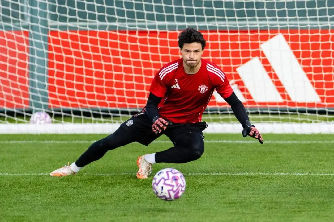 曼联面临的, 现任主力门