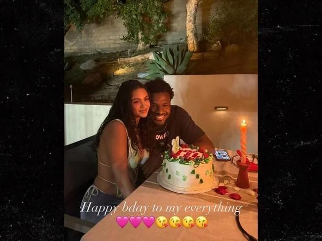 布朗尼曾携, snTE